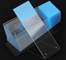 Charged Microscope Slides-1358